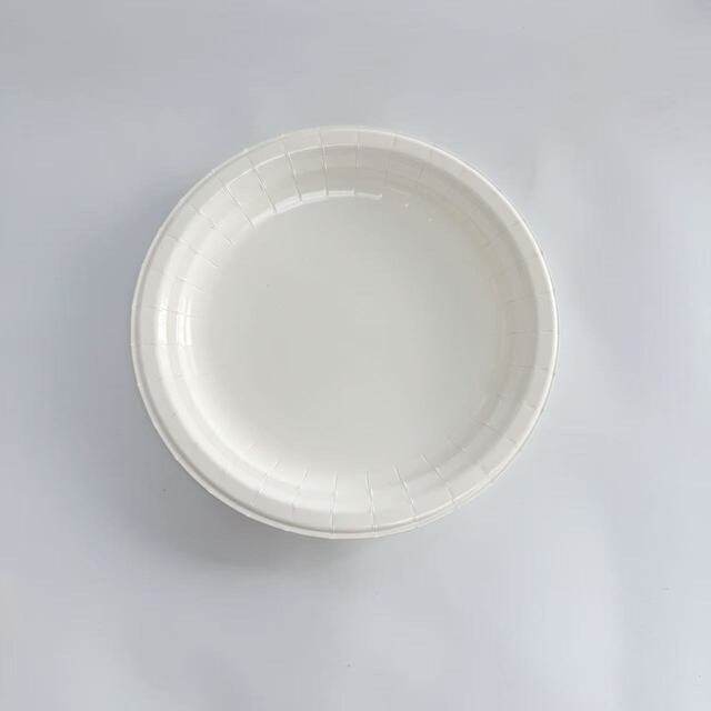 9inch paper flat plate -Aqueous coated